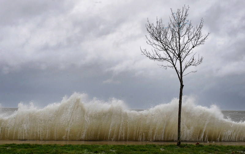 Illustration for article titled 4 Ways Hurricane Sandy Is Still Transforming NYC's Infrastructure